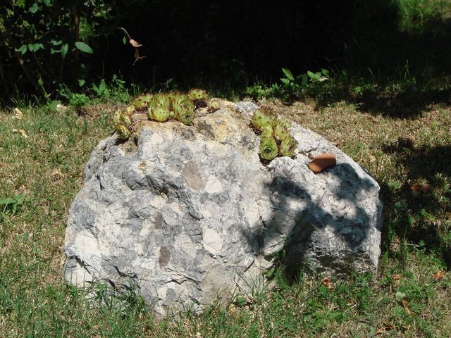 boja, čuvarkuće u kamenu